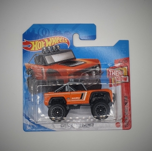 CUSTOM FORD BRONCO